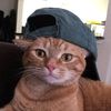 riilovhaechan