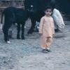 bhasharatali4