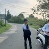 ynzz304