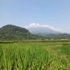 birin_234