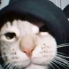 meng.maingame
