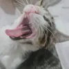 rayitoylunita22
