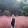 phuong.ty0309