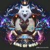 sahidinfamilykingofwolf