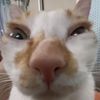 zzkiazz_1