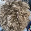 maksxxx43
