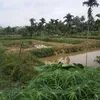 khairulnas227