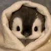 tuquyen_10