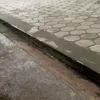 gilobuzzzzzzzzzzzss