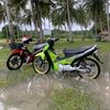 hadiii_3