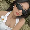 franceshcake