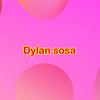 dylansosa.406