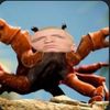 one_true_crab_god