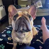 julessrules1
