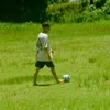 andreymotta__