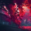 hosana_mendes