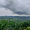 lebatiments