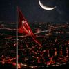 talha145333