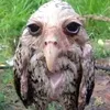 elhombrechala_