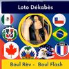 lotodekabes