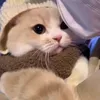 putri.panda27
