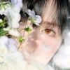 butterfly.7901