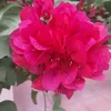 lubneejtusiab485
