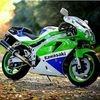 fitipaldi.rouss