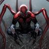 superior_spider616