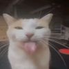 soy_.sxout