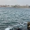 moinafarcia