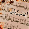 abdelhaleem107