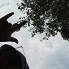 aini_ghulam