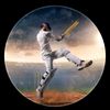 cricke463