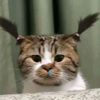tiga1okt
