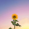 yourheaven26