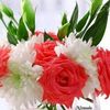 firdausramesh0511