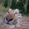 zink.ngi