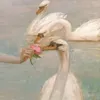 ty2oi