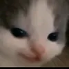 kaga_ada_nama_cok