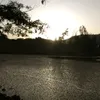 farahzechri