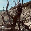 raispriatna013