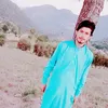 sajidali79416
