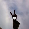 user4538824028818