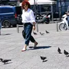 qetinotyeshelashv