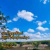 shinthura798