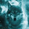 warriorwolf41