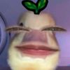 vanilla_regalll