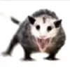 dyc6adukrbqz