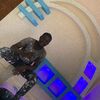 abakar.10063405834